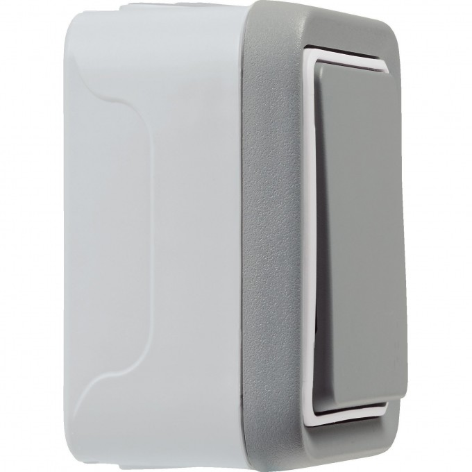 Однополюсный переключатель LEGRAND на 2 направления Plexo накладной монтаж 10 A 250 В серый 069711