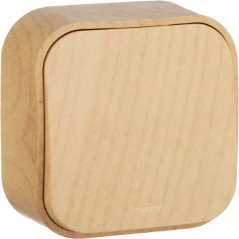 Выключатель LEGRAND Quteo 10 A 250 B IP 20 Дерево